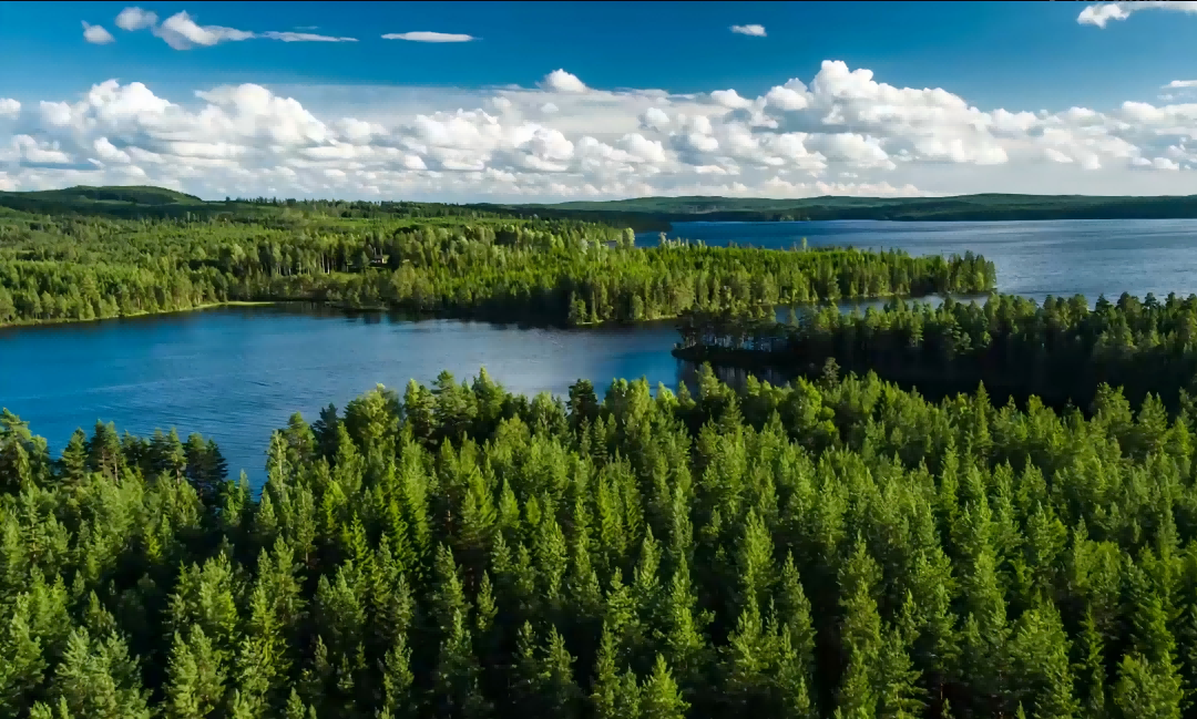 上海儒竞科技股份有限公司客人来访公司